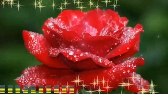 Игорь Янакий - Розы для Тебя смотреть онлайн