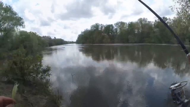 Ну и воблер! Ловит всё!) Хищные лещи весной! смотреть онлайн