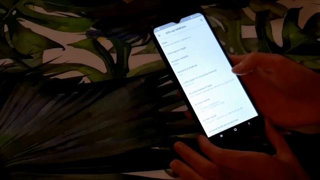 Unboxing & Recensione del clone wish Galaxy S30U+ смотреть онлайн
