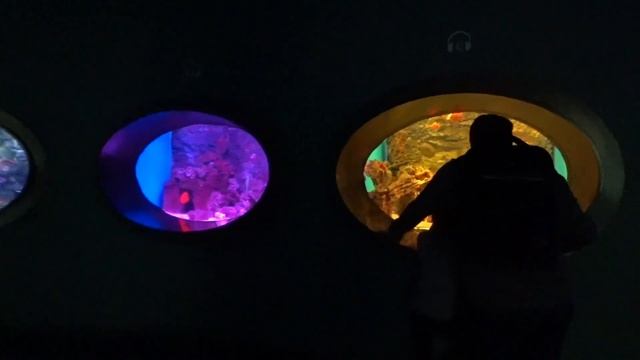 МОСКВАРИУМ НА ВДНХ / УВИДЕЛИ ОЧЕНЬ МНОГО ИНТЕРЕСНЫХ И РЕДКИХ РЫБОК / 2022 смотреть онлайн