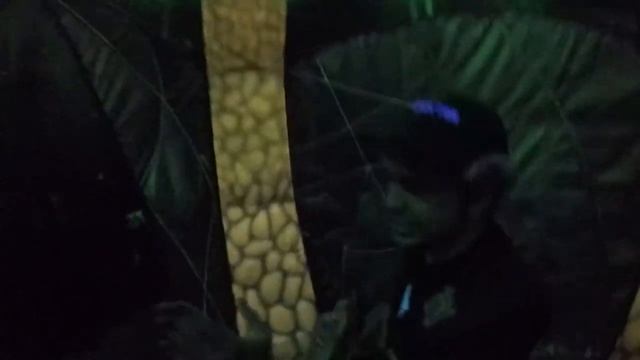 My First Lazer Tag Gameplay - POV Lazer Tag смотреть онлайн