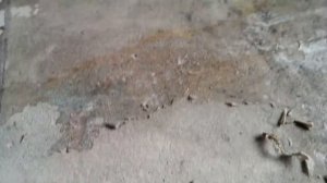 как убрать клей с пола