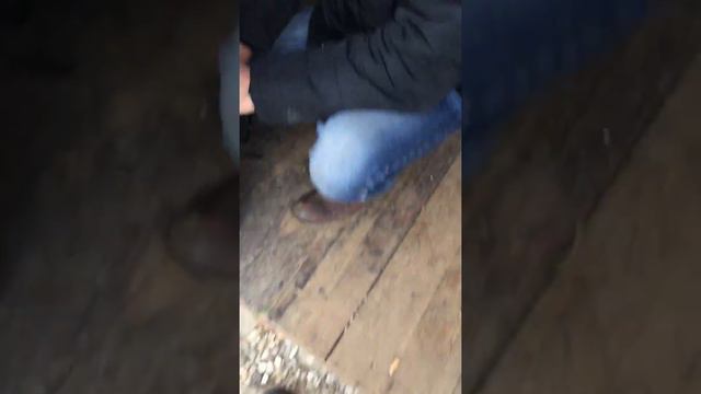 Огромная Форель смотреть онлайн