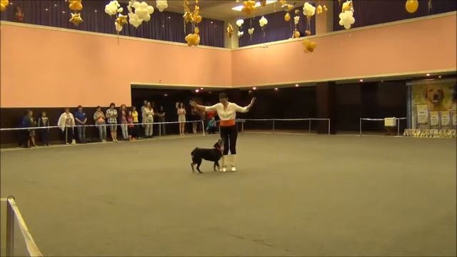 Хвостатый перепляс - 2016. Челябинск 18.06.2016 смотреть онлайн