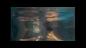 Роды в воде с дельфинами.