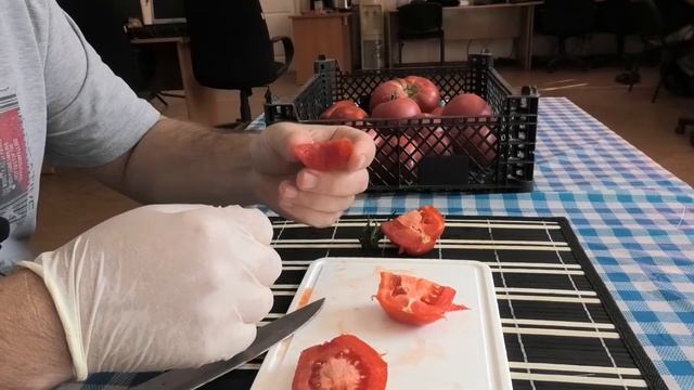 ? Томат F1 Затейник| Этот томат вятской селекции способен вырастить каждый смотреть онлайн