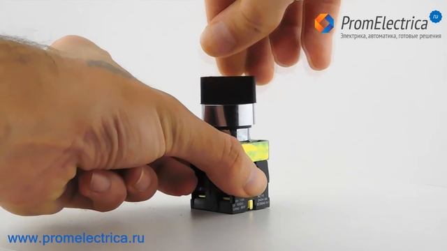 3SA8-BD25 Переключатель с фиксацией  в 2 положения 1NO 1NC  Rui Chi