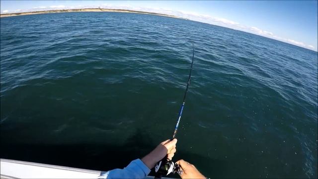 Fluke/Flounder Fishing Hurricane Swells - Live Bait vs Gulp смотреть онлайн