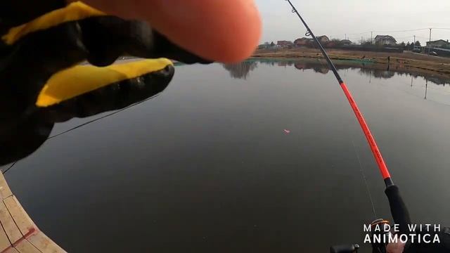 Тихая Заводь Рыбалка перед карантином смотреть онлайн