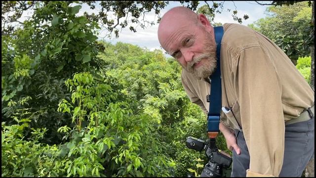 The New Standard - one macro photographer's thoughts on Nikon's MC 105/2.8 S macro lens смотреть онлайн