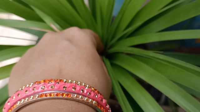 Nolina palm/ponytail plant care||नोलिना पाम/पोनीटेल प्लांट की देखभाल कैसे करें? смотреть онлайн