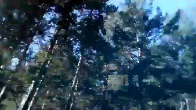 Аля гуляет по лесу. смотреть онлайн