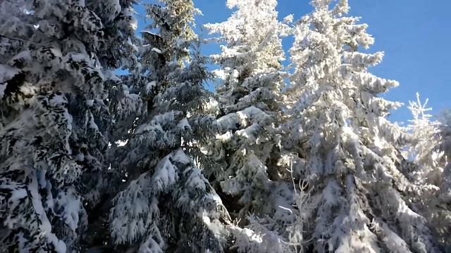 Поход в горы: часть 2, город Бельско-Бяла смотреть онлайн