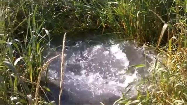 2016 11 07 За деревней Боярка из-под земли бьёт источник смотреть онлайн