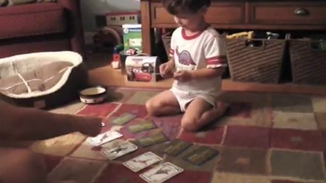 Dinosaur Memory Game смотреть онлайн
