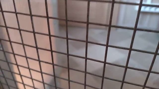 Цыплята от 0 до 30 дней.Пропойка.Содержание. смотреть онлайн