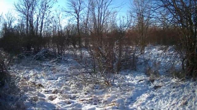 ПАУЗА, И ЗАЯЦ САМ СЕБЯ ПРОЯВИТ... смотреть онлайн