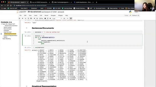 Section 39a: Natural Language Processing (word embeddings and LDA) смотреть онлайн