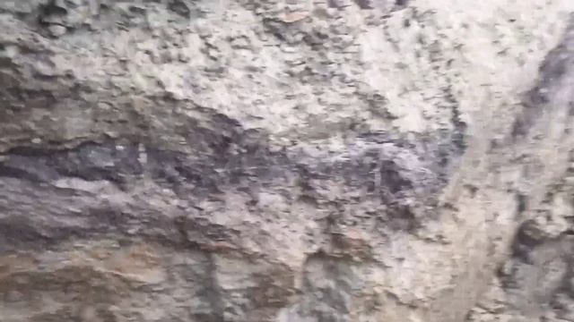 На какую глубину надо копать траншеи для дренажа в Ленинградской области. Состав почвы. смотреть онлайн