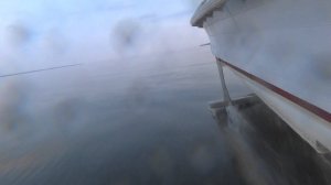 Катер Волга на подводных крыльях