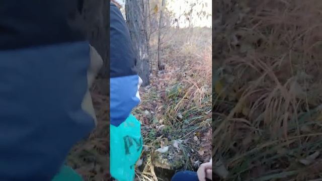 Грибники ? смотреть онлайн
