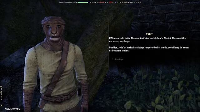 Flipping the Coin #64 - Aldmeri Dominion Quests ~ Elder Scrolls Online смотреть онлайн