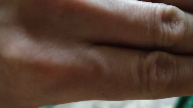 Подружился с мухой смотреть онлайн