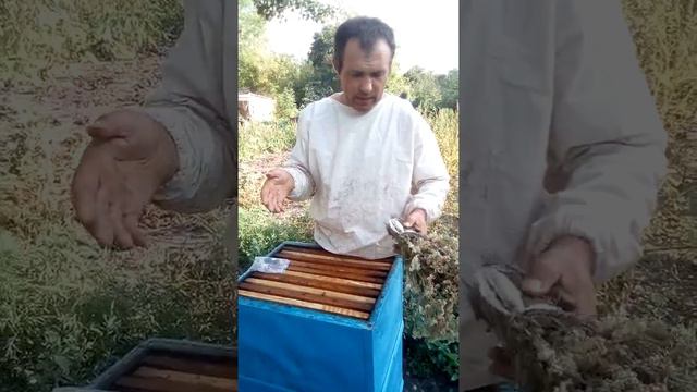 Лікування бджіл *вірусний параліч* смотреть онлайн