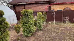 Отпуск на даче. Подготовка к сезону.