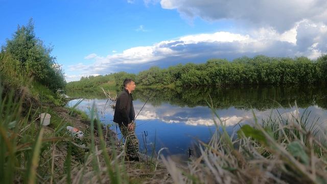 В ЛЕС на разведку по ГРИБЫ / РЫБАЛКА на ДОНКУ И УДОЧКУ р. Пышма/ поймал судачка/ ГРИБЫ ВДОЛЬ РЕКИ смотреть онлайн