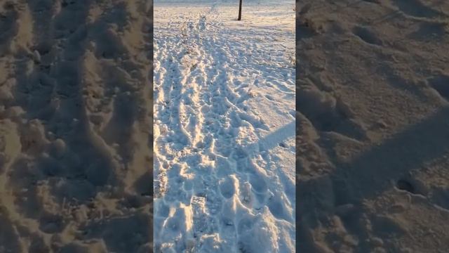 крылья загруженных людей не могут дать им силу смотреть онлайн