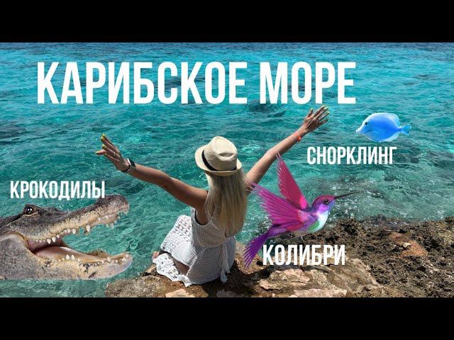 ПОЕЗДКА НА КАРИБСКОЕ МОРЕ || КУБИНСКАЯ ШКОЛА || СНОРКЛИНГ || КРОКОДИЛОВАЯ ФЕРМА || ДОМ КАЛИБРИ смотреть онлайн