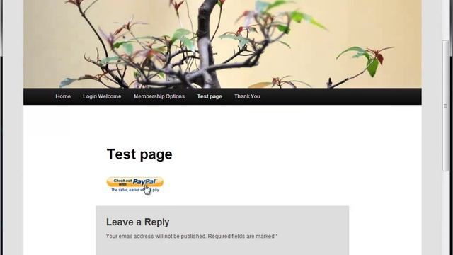 s2Member - Log Out of Admin for Test Purchases смотреть онлайн