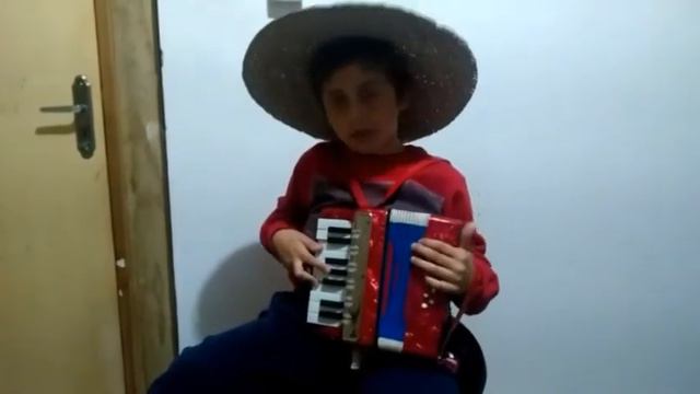Fundo da Grota Diego Peres acompanhando na sanfona смотреть онлайн