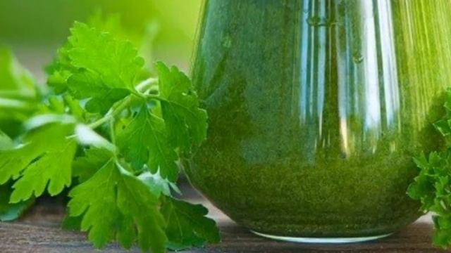 ПЕТРУШКА НА ПОДОКОННИКЕ КАК ВЫРАЩИВАТЬ В КВАРТИРЕ, ЧТОБЫ БЫЛ ХОРОШИЙ УРОЖАЙ (2021) смотреть онлайн