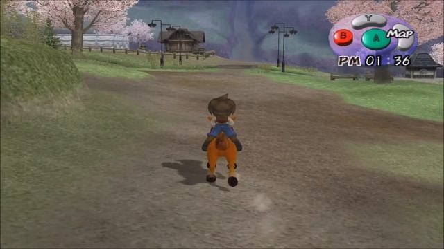 Harvest Moon A Wonderful Life - #22, Miracle Potion смотреть онлайн