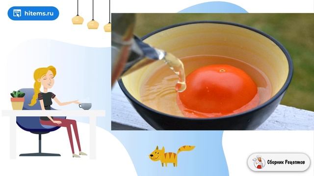 Сборник рецептов