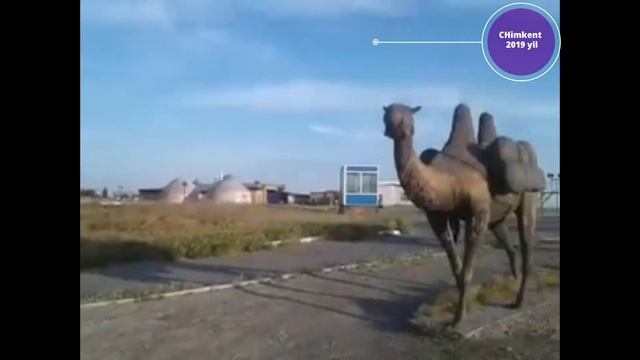 #CHimkentga #sayohat #шымкент #arxiv #2019 #turist #uzbek #uzbekistan #sayohat #video #shimkent смотреть онлайн