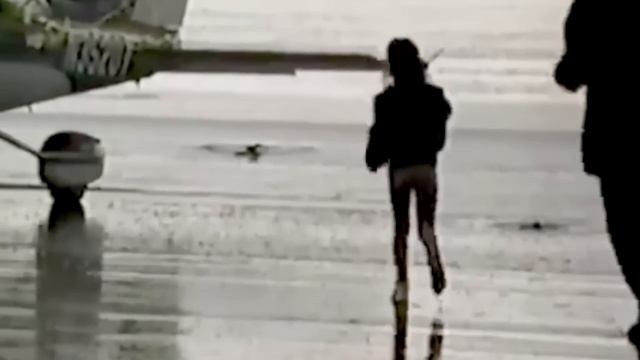 Die jüngste Flugschülerin und ihr tragischer Tod смотреть онлайн