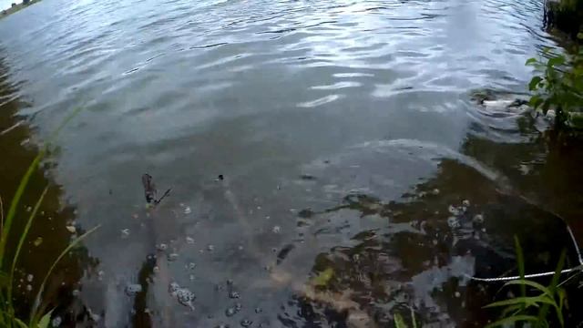 Вот так в московской области нужно щуку ловить смотреть онлайн