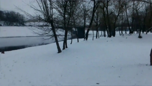REVIZOR смотреть онлайн