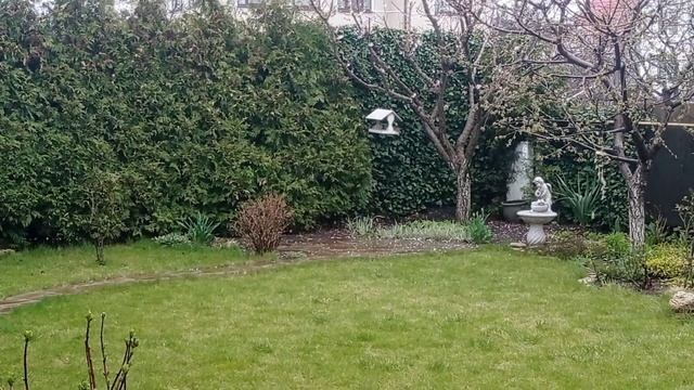 ОДЕССА. Наше ВЕРБНОЕ ВОСКРЕСЕНЬЕ. смотреть онлайн