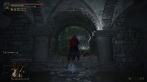 Elden Ring. Как добраться до босса Эсгар. Жрец крови