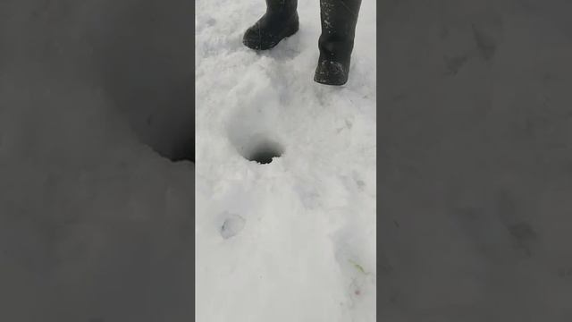 Рыбалка на форель в Дулово #платник #форель #отдыхдлядуши смотреть онлайн