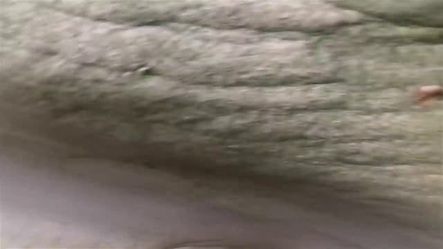 Виды Никитино смотреть онлайн