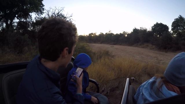 Early morning game drive - worth it! смотреть онлайн