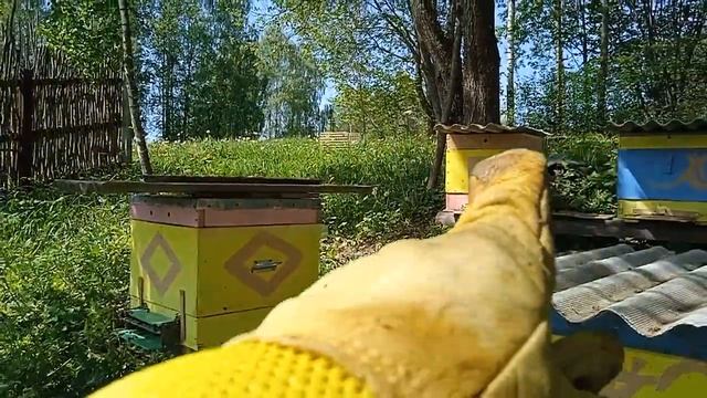 май не зевай, отводки, матки. смотреть онлайн