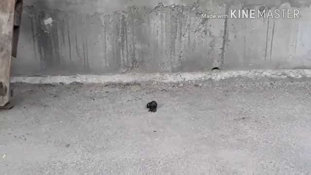 КРАШ ТЕСТ АНТИСТРЕСС ИГРУШКИ!!! смотреть онлайн