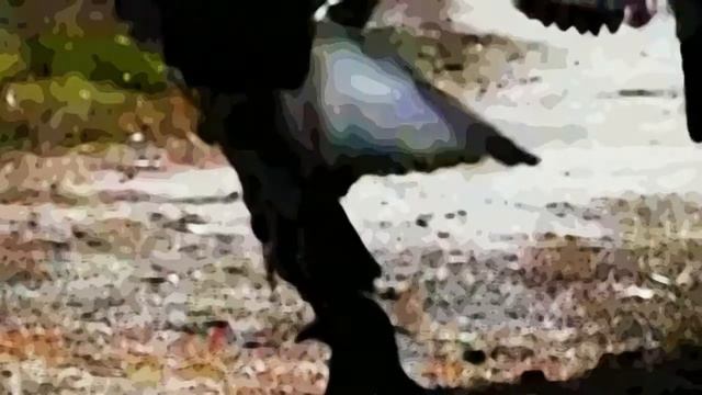 Она кормила голубей... смотреть онлайн