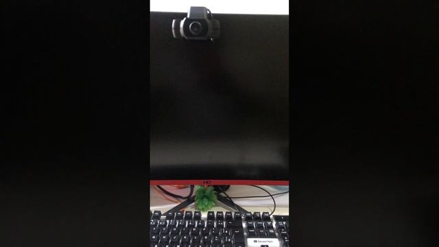 Display Port No Signal FIX !! [Step-by-Step in Description] смотреть онлайн